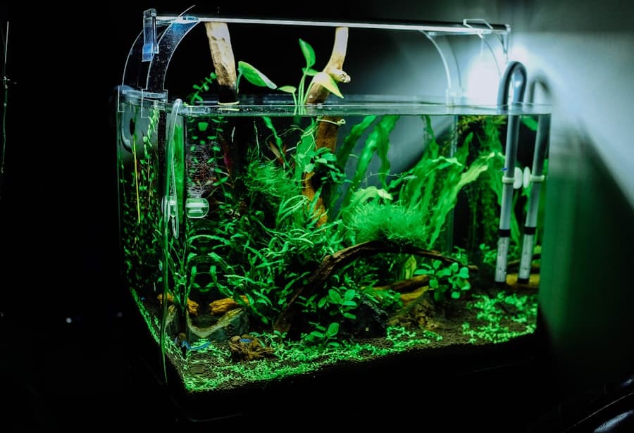 JBL NovoBel 250 ml