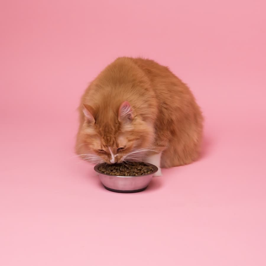 Whiskas Adult 1+ Huhn 3 kg