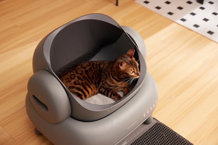 Cat's Best Original 7 kg