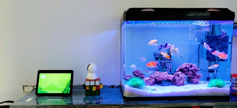 Poisson et aquarium