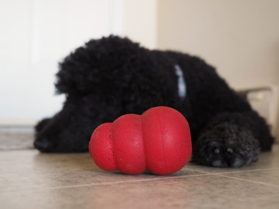 KONG Classic Medium